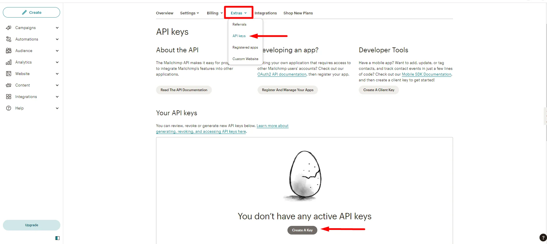 Create MailChimp API key for WordPress form integration