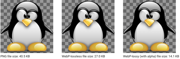 Lossy vs lossless image compression - tips to speed up pages of WordPress Elementor website - wpmet
