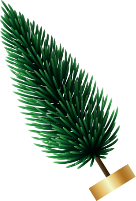 albero