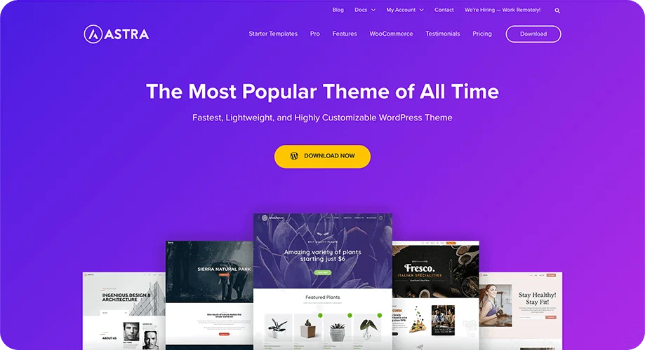Motyw Astry Astra is the best free and Elementor pro theme