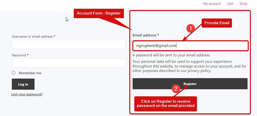 Preview Account Form - Register.png