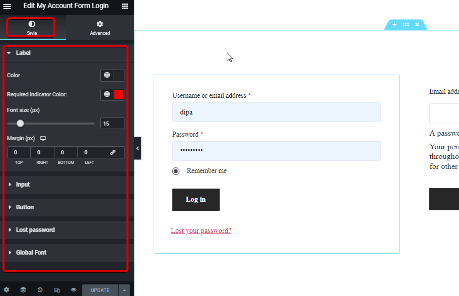 Style settings account form login