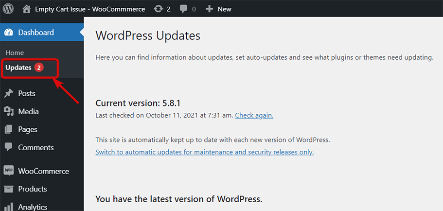 Check if WordPress and wooCommerce needs update