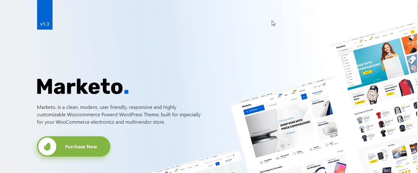 Marketo best WordPress themes for elementor