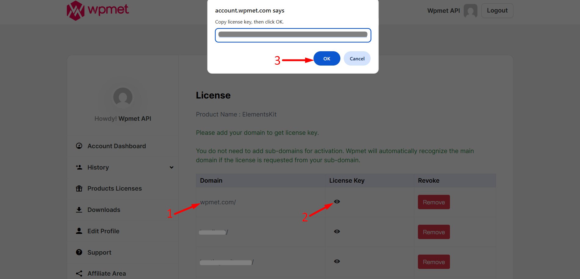 Copy your ElementsKit License key