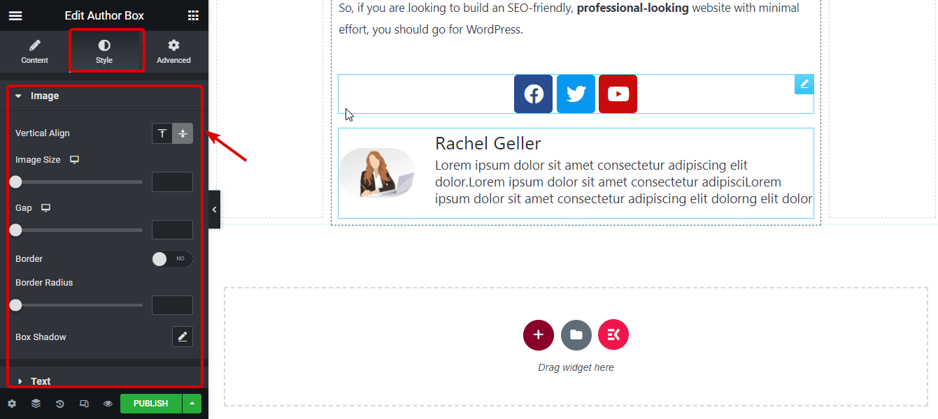 Elementor author box widget style settings