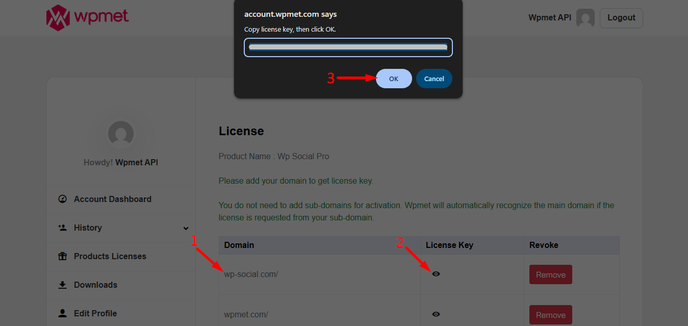 Copy your WP Social License key