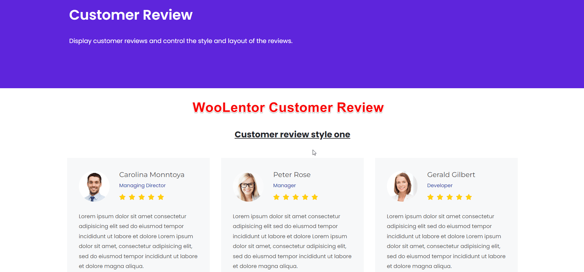 Woocommerce Checkout like Shopify - WooLentor