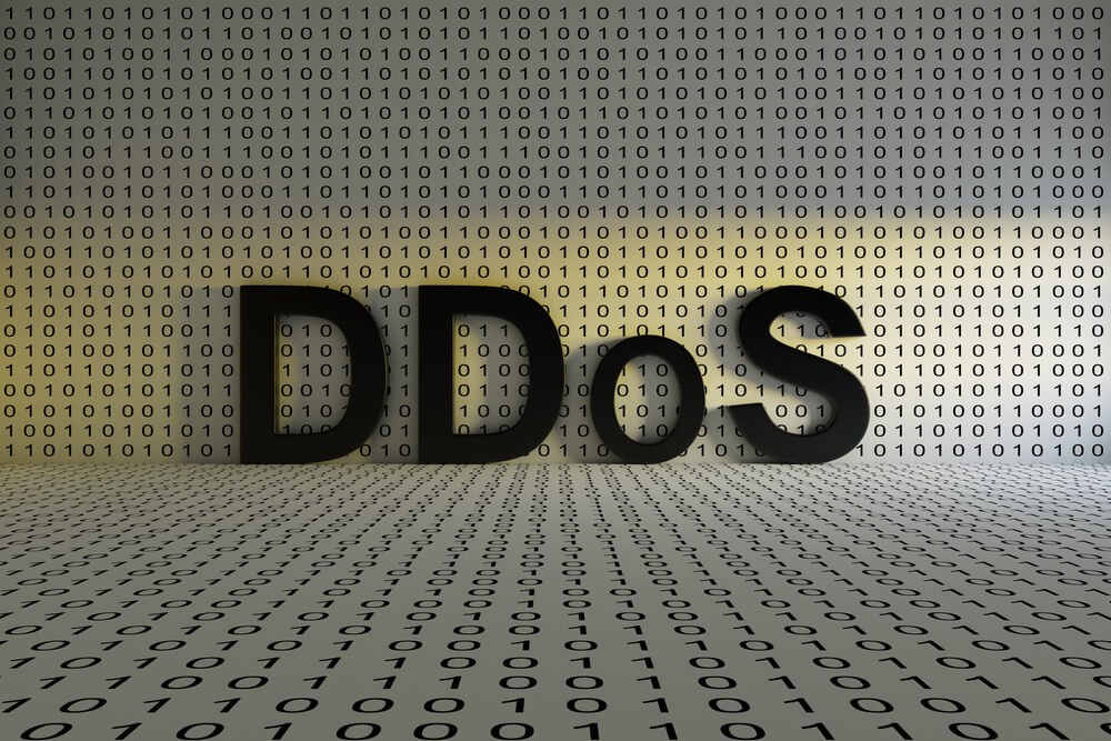 DDOS- WordPress terms and glossary