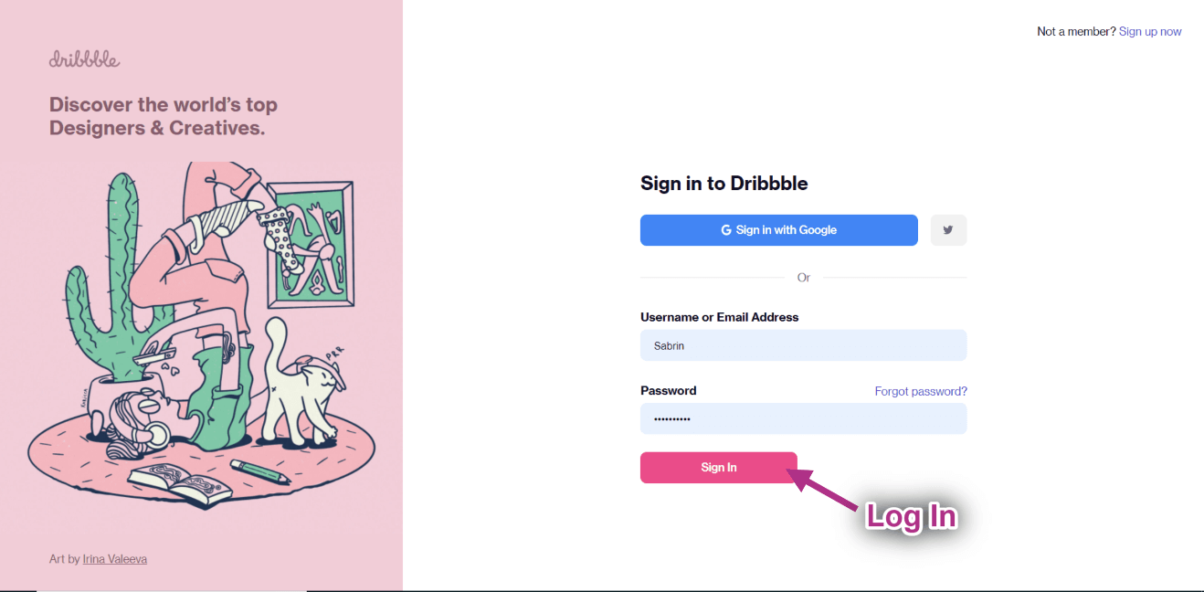 Ingrese las credenciales de su cuenta de Dribbble y haga clic en Iniciar sesión: cómo mostrar el feed de Dribbble