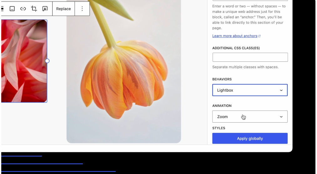Fenêtre contextuelle Lightbox dans WordPress 6.4