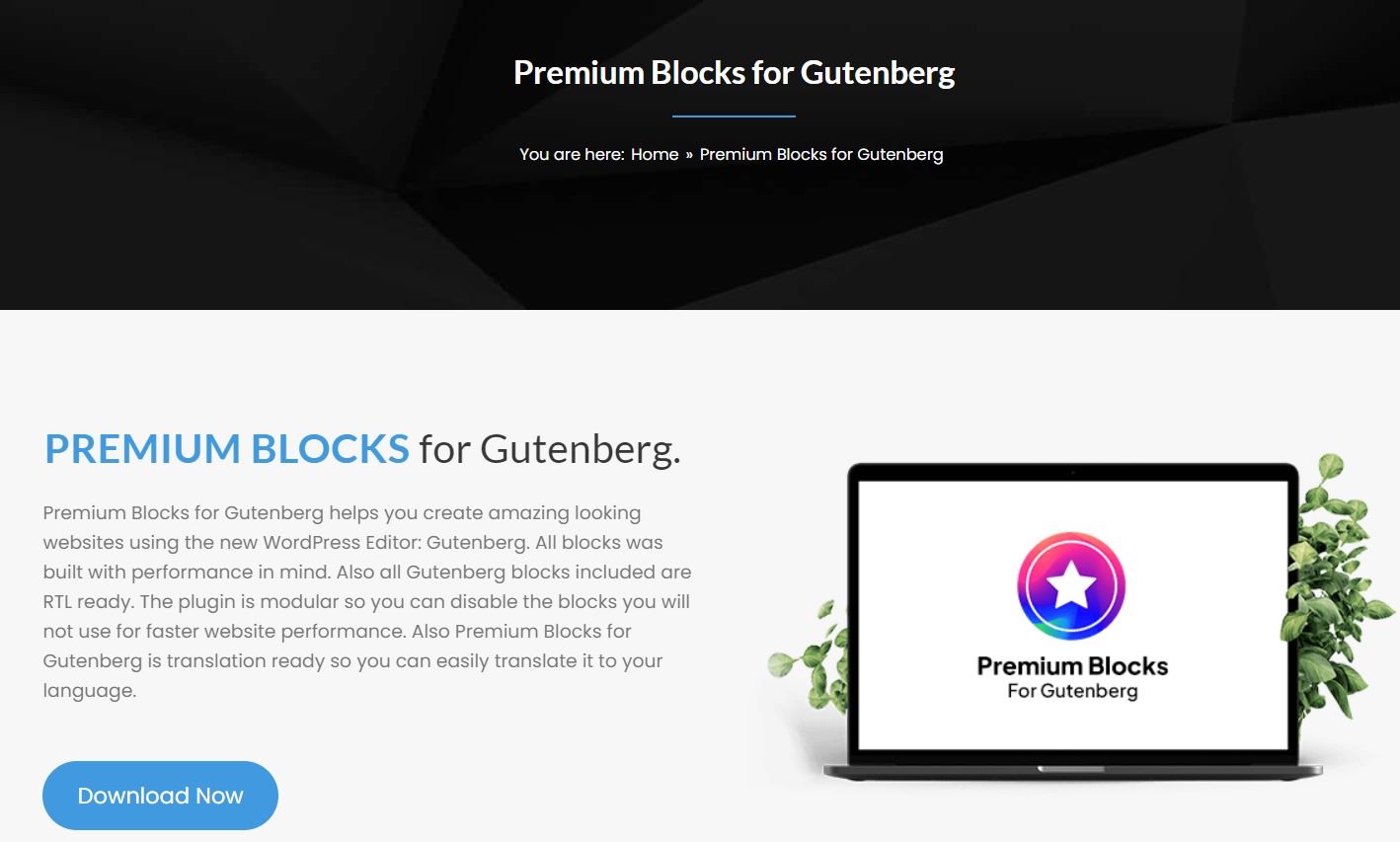 Premium Blocks - Spectra Blocks Alternatives in WordPress