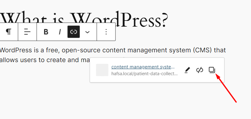 WordPress 6.5 has link controls add a “Copy Link” option