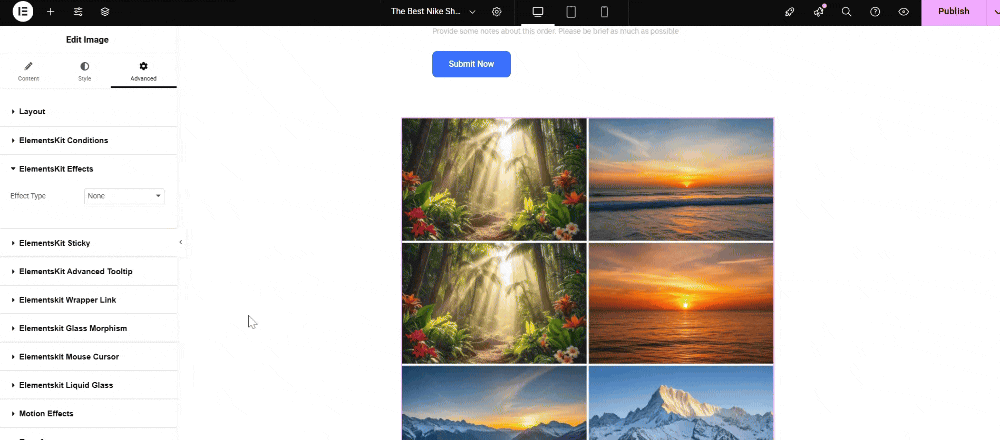 Editing Image Hover Effect using style and advanced settings