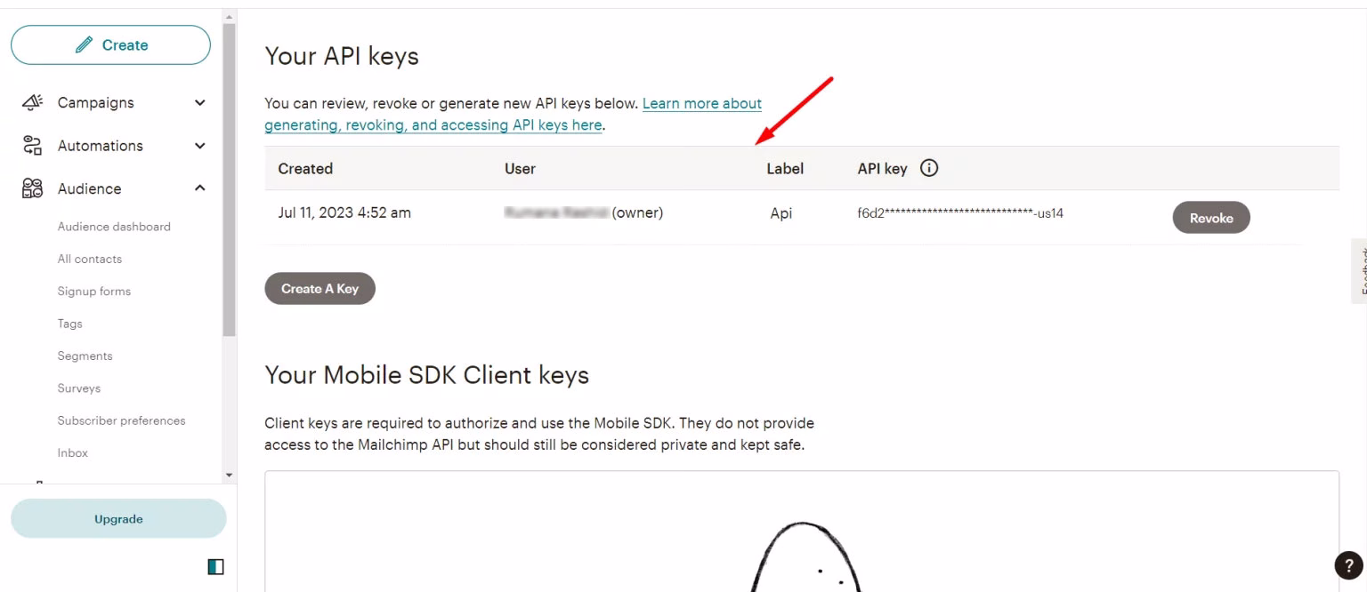 Get API listed in the MailChimp dashboard