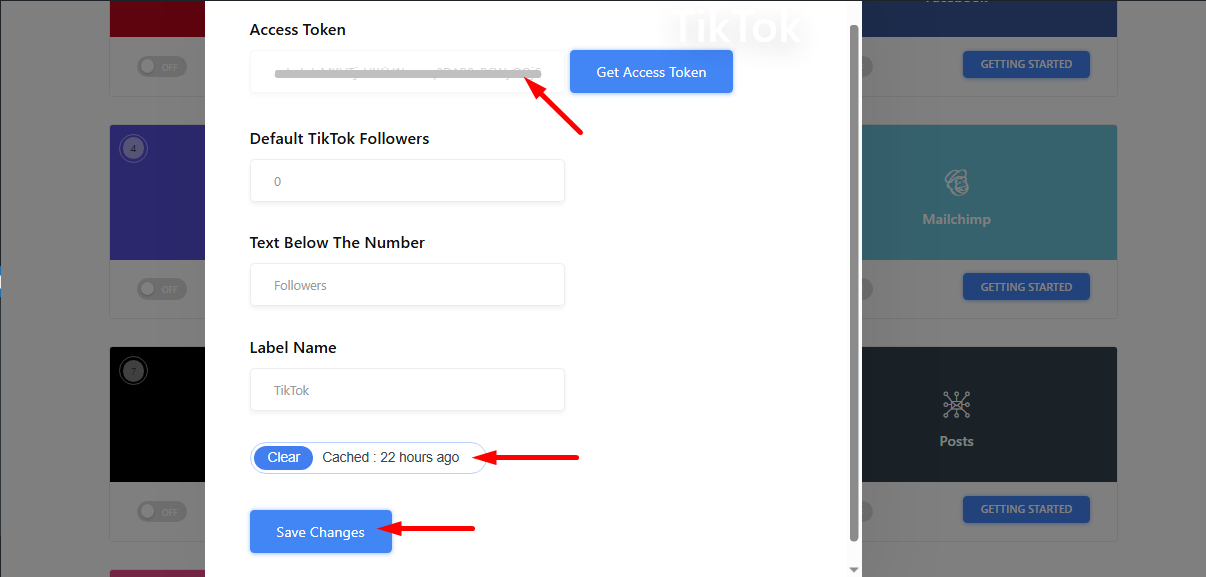 Insert the token, clear cache and save changes