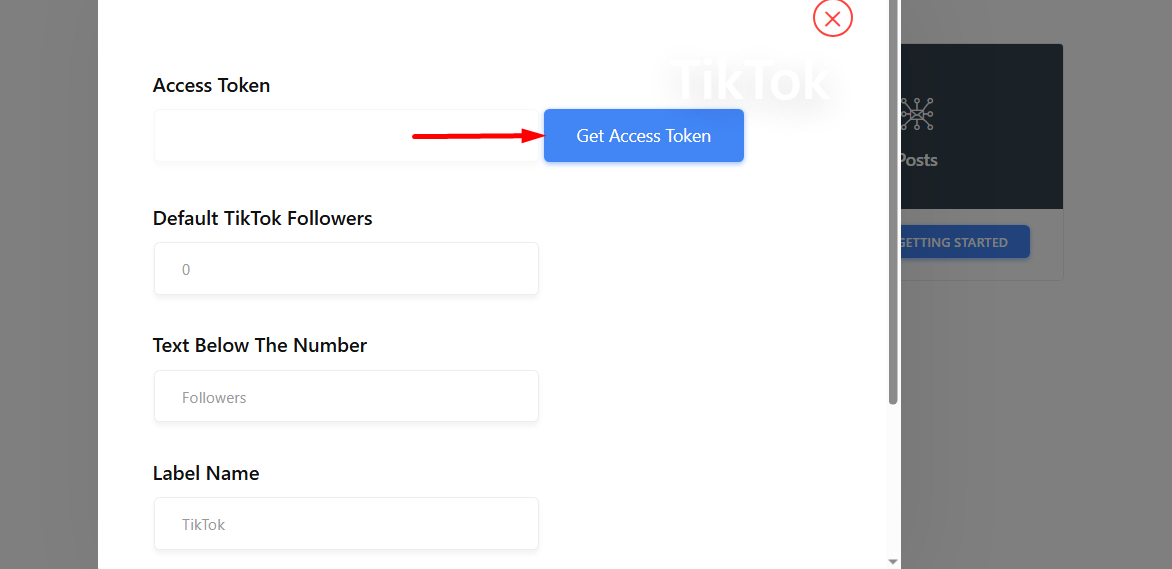 Press the Get Access Token button.