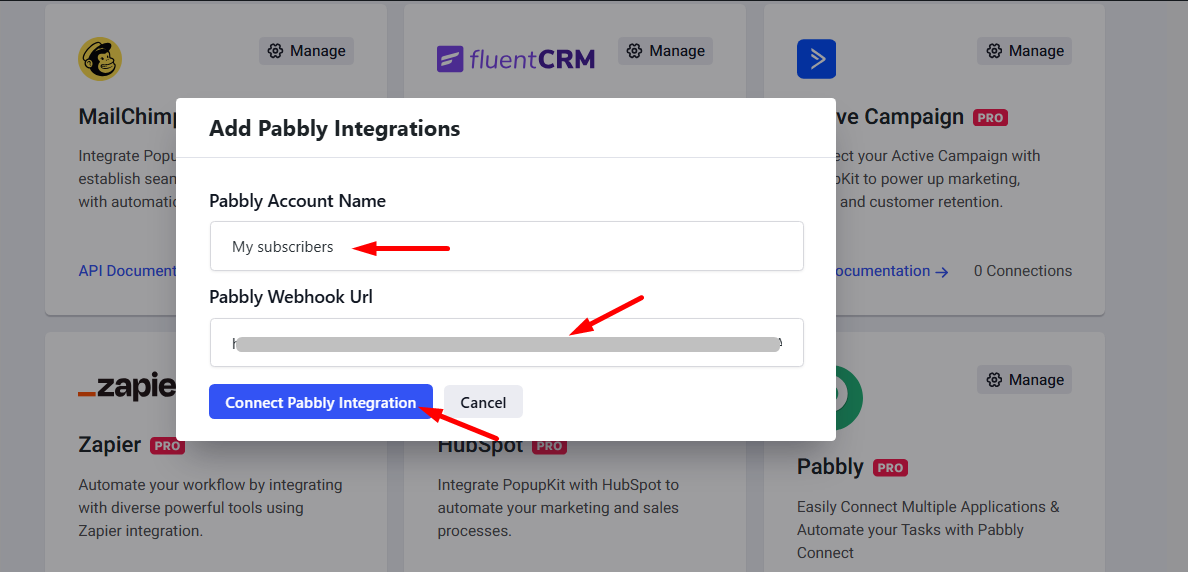 Provide integration details and connect Pabbly