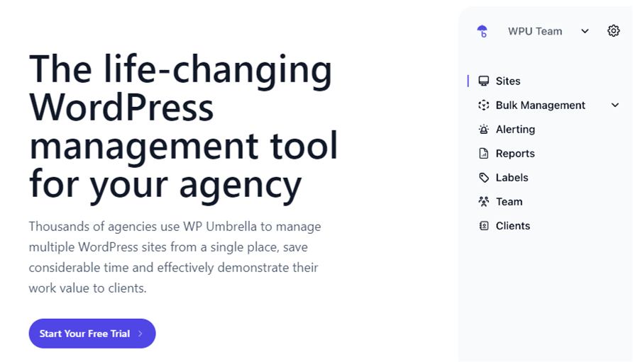 WordPress Website Monitoring Tools