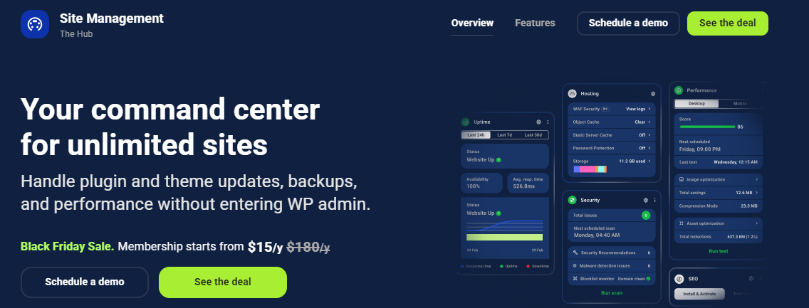 WordPress Website Monitoring Tools