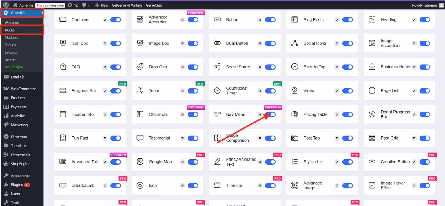 Enable nav menu block