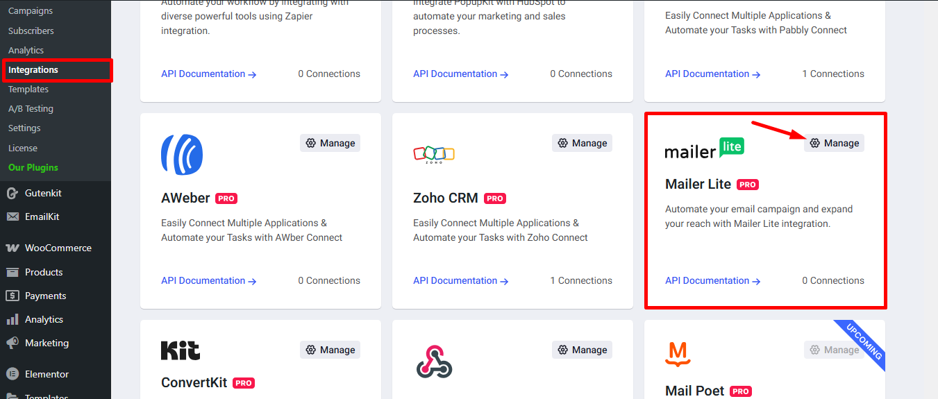 Find Mailer Lite and click on the Manage settings icon
