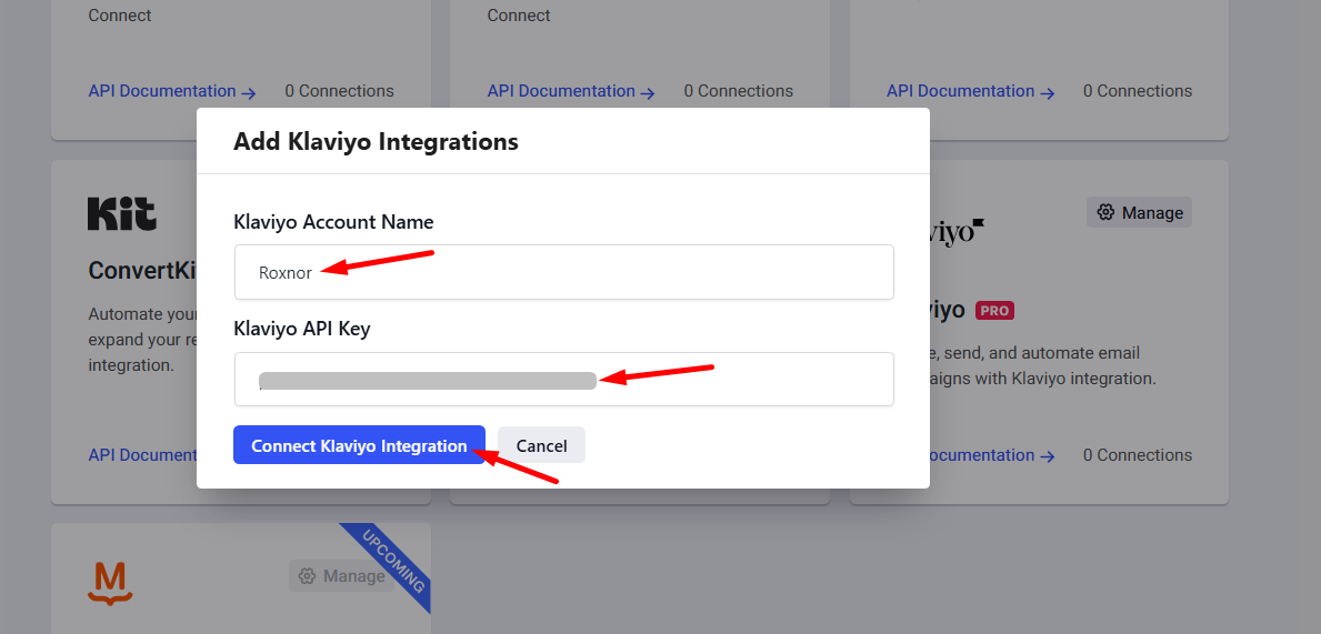 Insert Klaviyo name and API key and connect