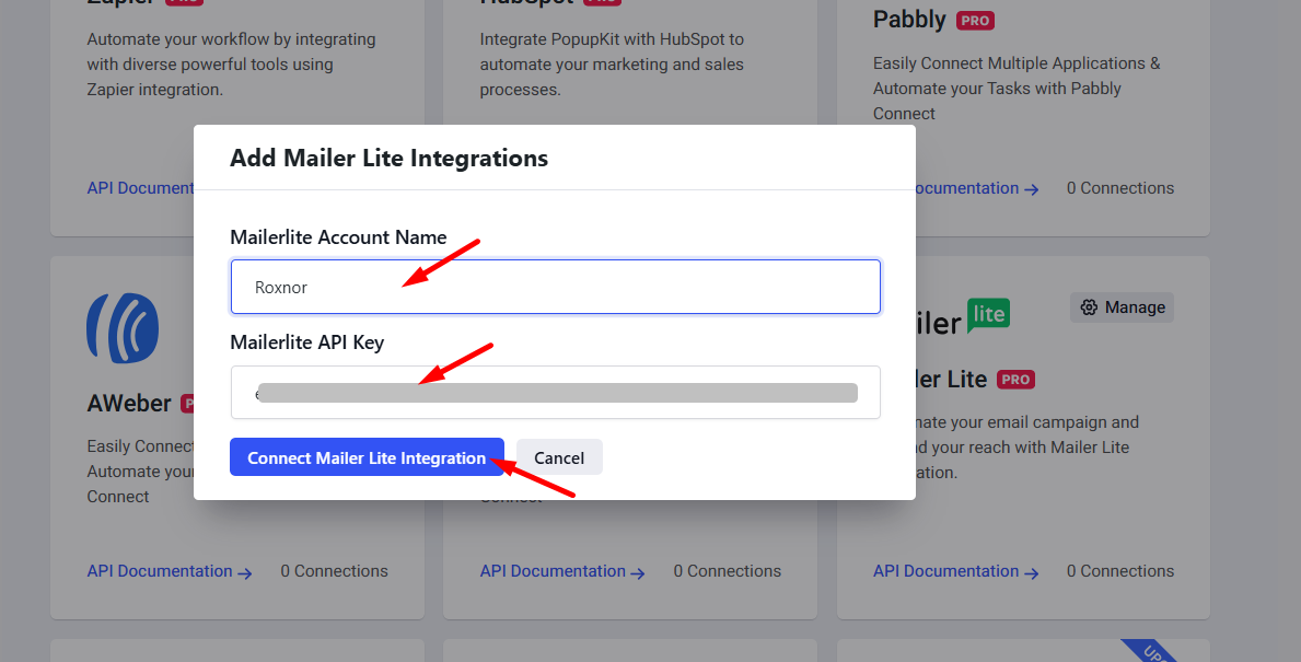 Provide a Mailer Lite account name, API key and connect