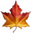 Sale icon